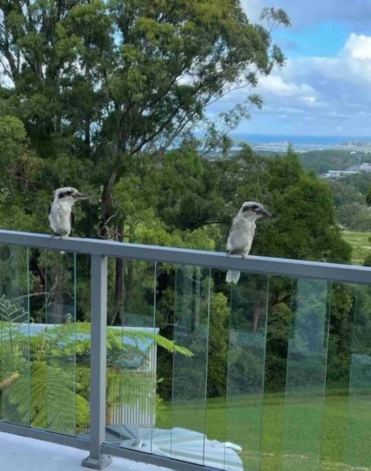 Ocean View Oasis, Coffs Harbour Apartment Ngoại thất bức ảnh